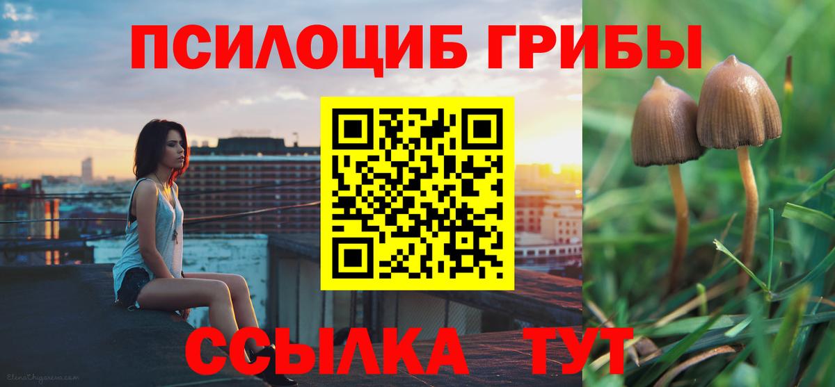 Псилоцибиновые грибы Psilocybine cubensis  Вход с VPN  купить   Ефремов  Псилоцибиновые грибы Magic Shrooms 